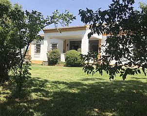 Guest house 1410401 • Bed and Breakfast Andalusia • Finc El Juncal 