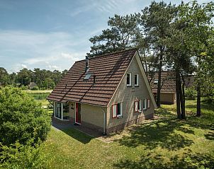 Guest house 323243 • Bungalow Veluwe • Landgoed 't Loo | 4-persoons bungalow | 4L1 