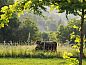 Unterkunft 04917419 • Ferienhaus Midi-Pyrenees • Huisje in Mauroux  • 10 von 18