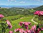 Guest house 0955016 • Holiday property Tuscany / Elba • Agriturismo Nobile di Montepulciano  • 6 of 25