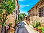 Guest house 0956910 • Apartment Tuscany / Elba • Appartement L'Agrifoglio  • 1 of 25