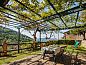 Guest house 0957502 • Holiday property Tuscany / Elba • Vakantiehuis Il Glicine  • 5 of 26