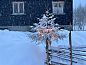 Guest house 1065801 • Holiday property Southern Norway • Vakantiehuis in Vinjesvingen  • 3 of 26