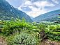 Guest house 1835001 • Apartment Ticino / Tessin • Appartement Nelly  • 11 of 17