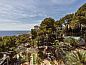 Verblijf 22216002 • Vakantie appartement Mallorca • Bonanza Park Hotel by Olivia Hotels Collection  • 14 van 26