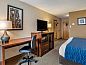 Unterkunft 30225202 • Appartement Oostkust • Comfort Inn Shady Grove - Gaithersburg - Rockville  • 4 von 26