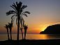 Verblijf 5714801 • Vakantiewoning Costa Almeria / Tropical • La Caleta Bay  • 11 van 26