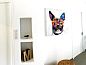 Verblijf 6304311 • Appartement Corsica • Le Diodon De Sagone  • 1 van 14