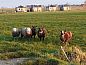 Verblijf 671508 • Vakantiewoning Groene hart • Huisje in Woerdense Verlaat  • 8 van 18