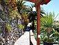 Guest house 7714403 • Holiday property Canary Islands • Pico Hincado Rural House  • 11 of 21