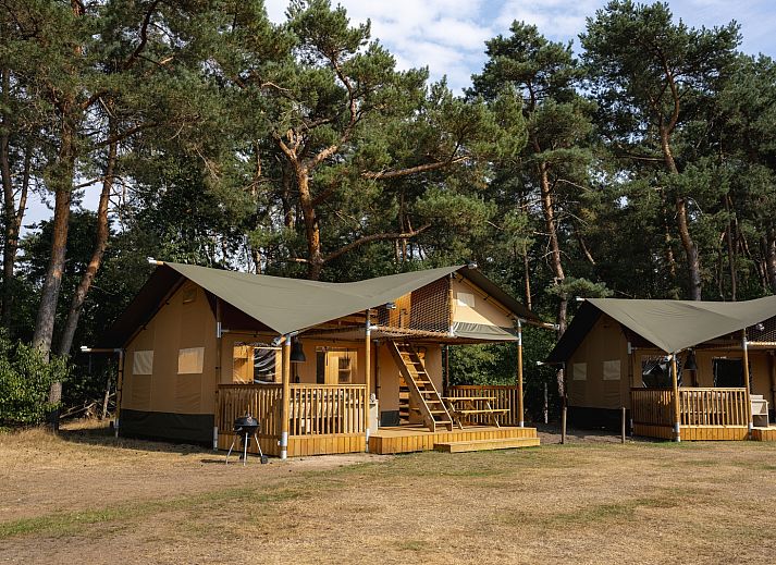 Guest house 0190114 • Tent house Niedersachsen • Safaritent | 7 Pers 