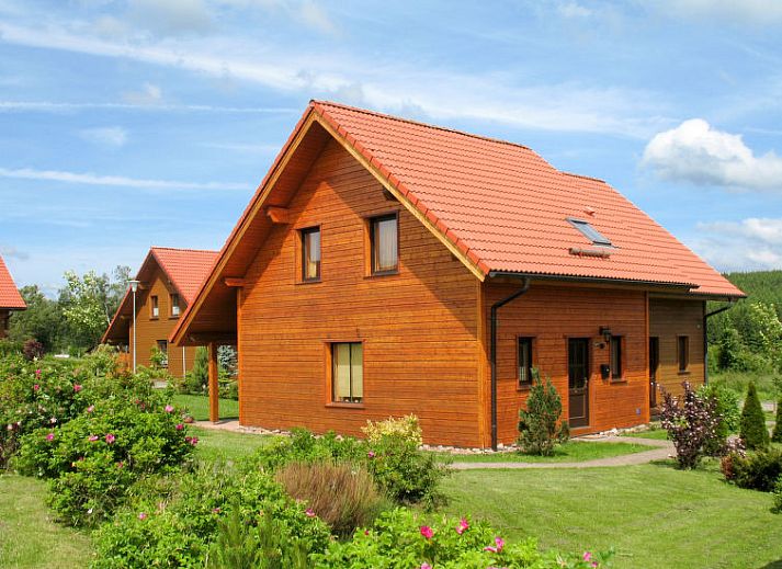 Guest house 0221120 • Holiday property Harz • Vakantiehuis Auerhahn 