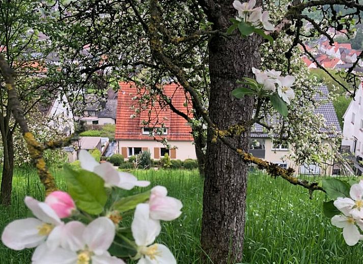 Unterkunft 02640604 • Ferienhaus Nordrhein-Westfalen • Vakantiehuis in Dalhausen 