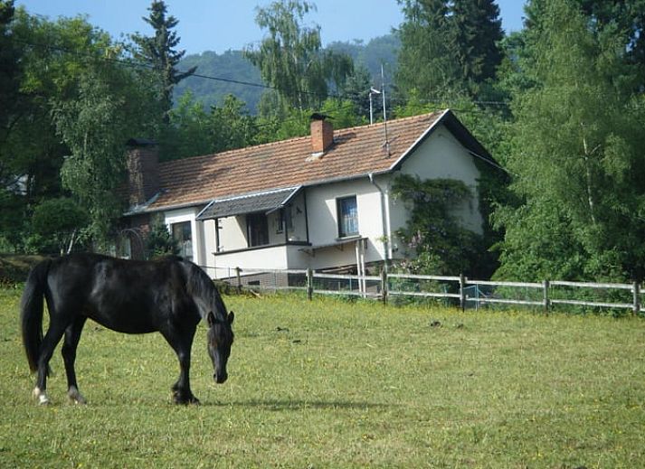 Verblijf 02728002 • Vakantiewoning Rijnland-Palts • Vakantiehuisje in Honerath 