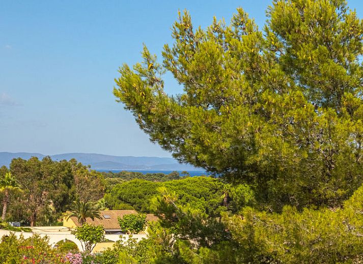 Guest house 04889202 • Apartment Provence / Cote d'Azur • Appartement Le Dauphin 