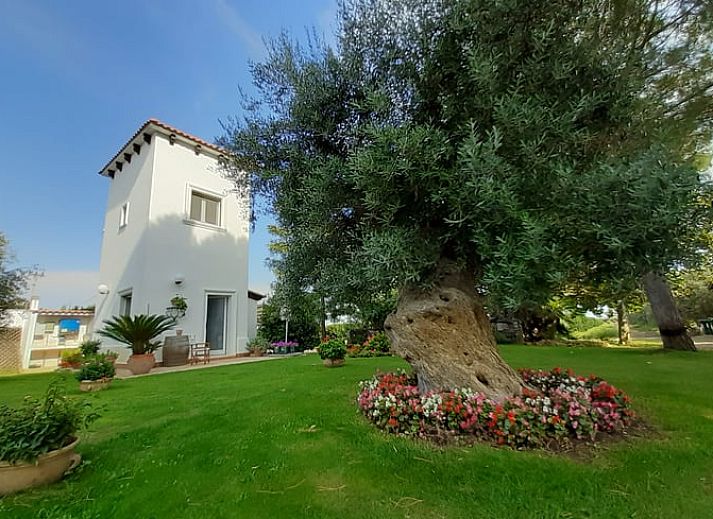 Guest house 08513901 • Holiday property Apulia / Puglia • Vakantiehuisje in Marina di Ginosa 