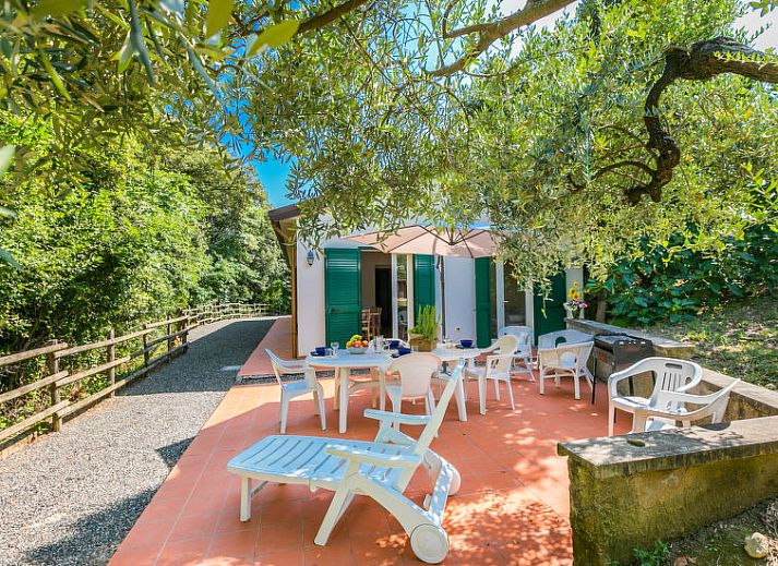 Guest house 09514406 • Holiday property Tuscany / Elba • Vakantiehuis Podere gli Olivi 