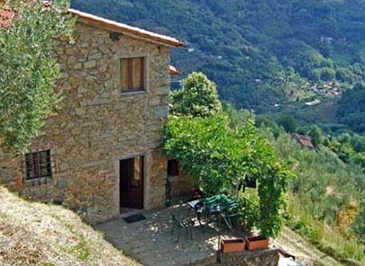 Guest house 09523805 • Holiday property Tuscany / Elba • Vakantiehuisje in Pietrabuona 