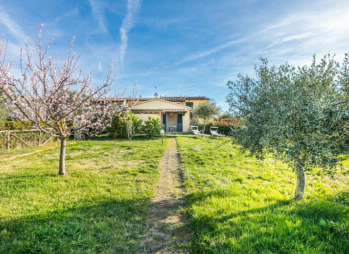 Guest house 09532617 • Apartment Tuscany / Elba • Appartement Lavender 