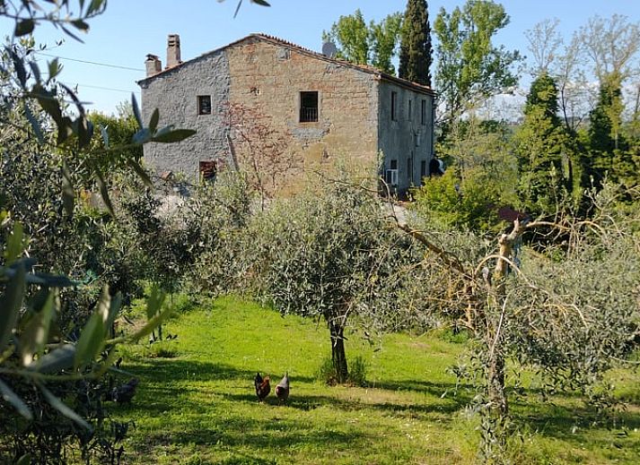 Guest house 09546905 • Holiday property Tuscany / Elba • Vakantiehuisje in Ghizzano 