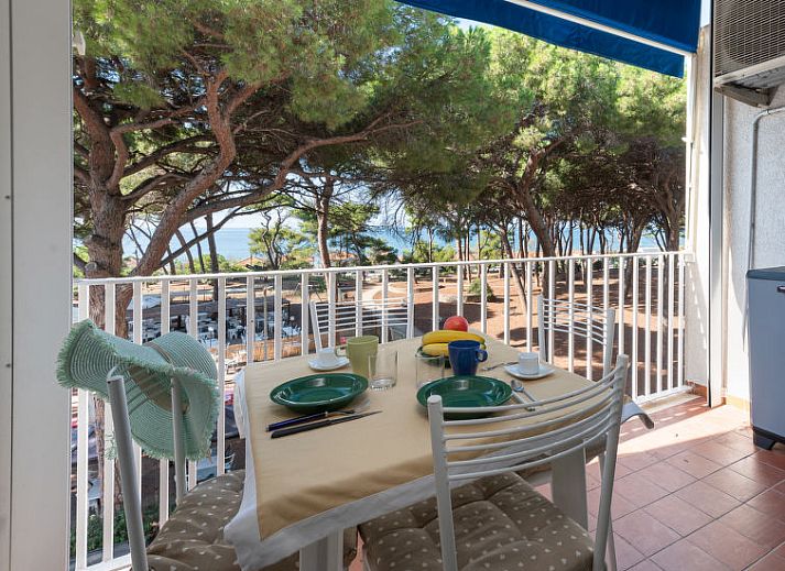 Guest house 09553210 • Apartment Tuscany / Elba • Appartement La Pineta 