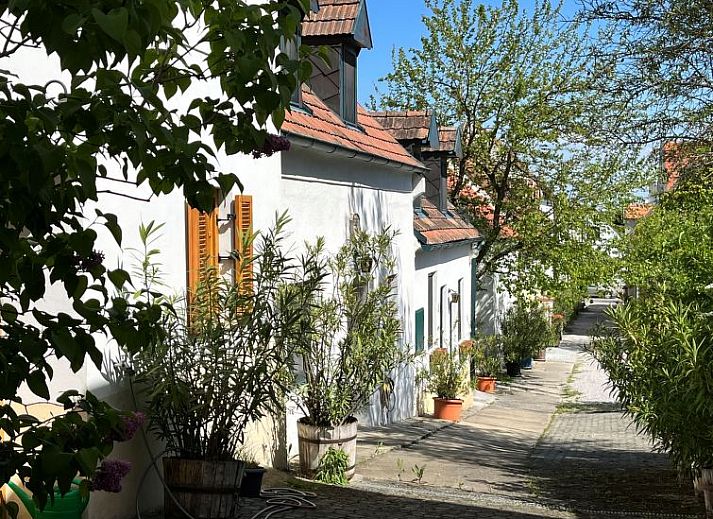 Guest house 1171701 • Apartment Burgenland • Appartement Hofgasse 