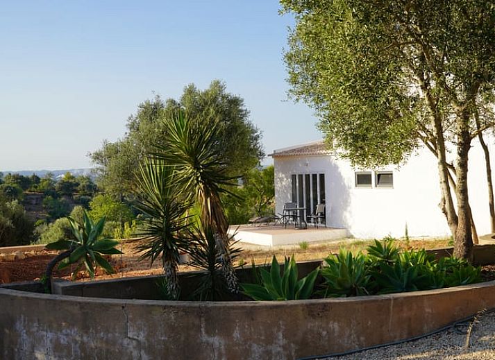 Guest house 1270605 • Holiday property Algarve • Huisje in Lagoa 