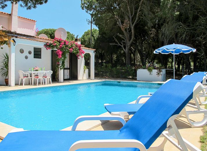 Guest house 1275804 • Holiday property Algarve • Vakantiehuis Estrela 