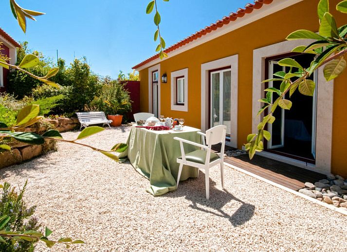 Guest house 1311205 • Holiday property Vale do Tejo • Vakantiehuis D'Olivia 