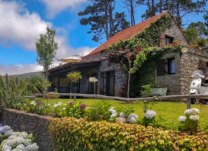 Guest house 1325811 • Holiday property Madeira • Vakantiehuisje in Arco da Calheta 