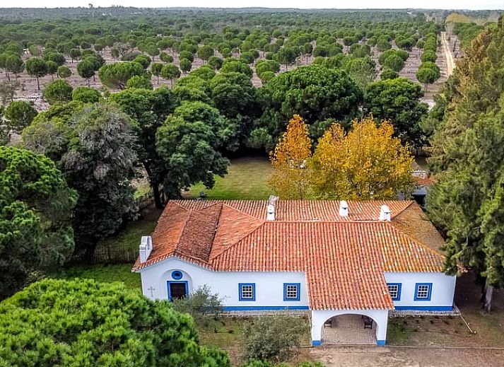 Guest house 1343503 • Holiday property Alentejo • Vakantiehuisje in MELIDES 