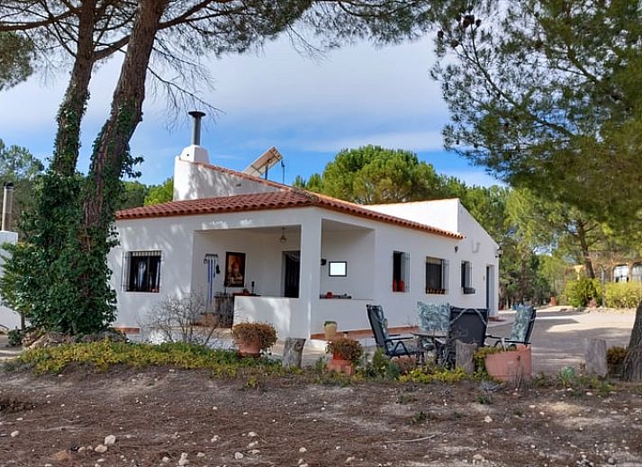 Guest house 14513101 • Holiday property Castile-La Mancha • Vakantiehuis in HIGUERUELA 