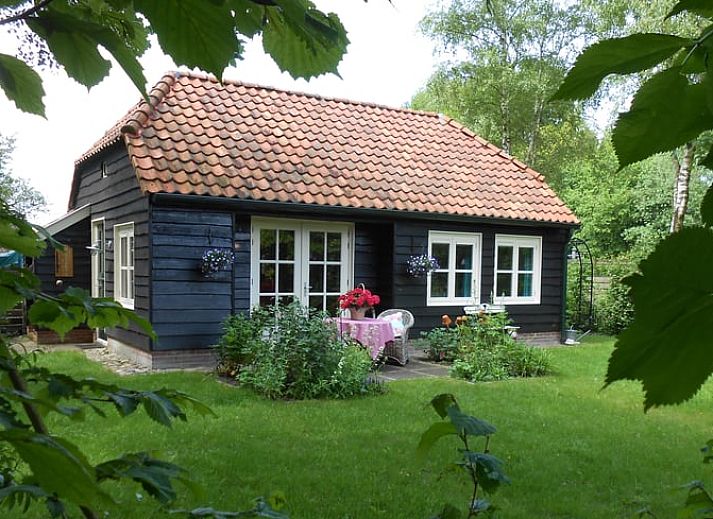 Guest house 170611 • Holiday property Midden Drenthe • Vakantiehuis in Beilen 