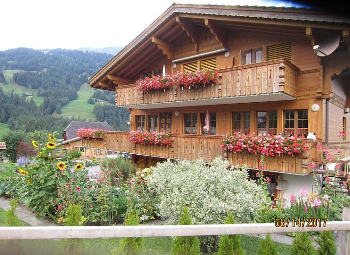 Guest house 1803311 • Apartment Berner Oberland • Appartement Morgenstern 