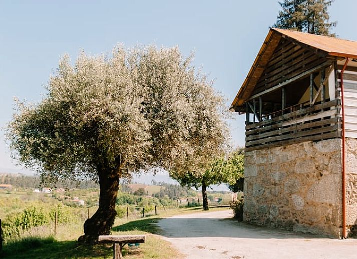 Unterkunft 18517812 • Ferienhaus Nordportugal • Vakantiehuisje in Cabeceiras de Basto 