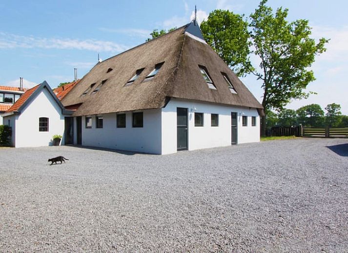 Guest house 232402 • Bed and Breakfast Friese bossen • Vakantiehuisje in Langedijke 