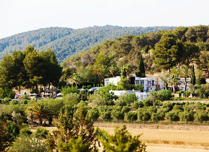 Verblijf 2520501 • Vakantiewoning Ibiza • Cas Gasi 