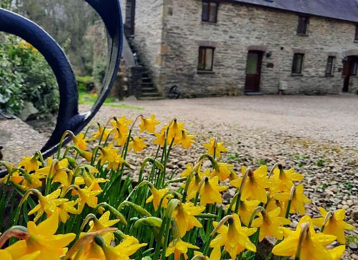 Unterkunft 3606707 • Ferienhaus Wales • Troedyrhiw Holiday Cottages 