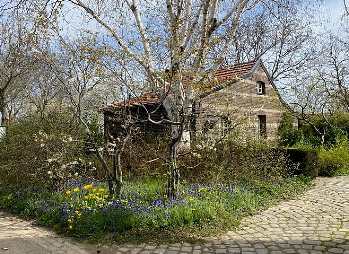 Unterkunft 391308 • Ferienhaus Zuid Limburg • Vakantiehuis in Wijlre 