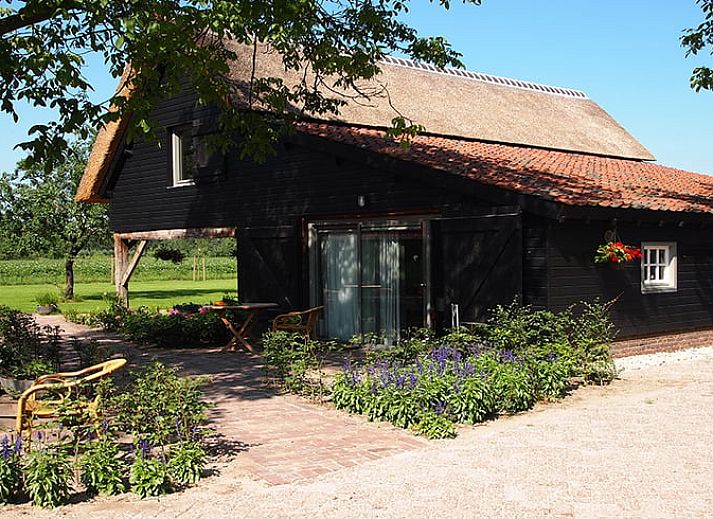 Guest house 421514 • Holiday property Hart van Brabant • Vakantiehuis in Moergestel 