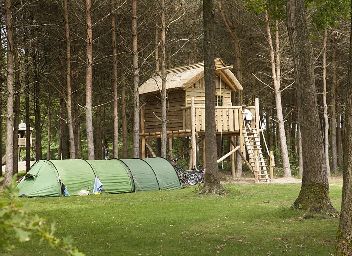 Unterkunft 421805 • Ferienhaus Hart van Brabant • RCN de Flaasbloem | Kampeerplaats met boomhut 