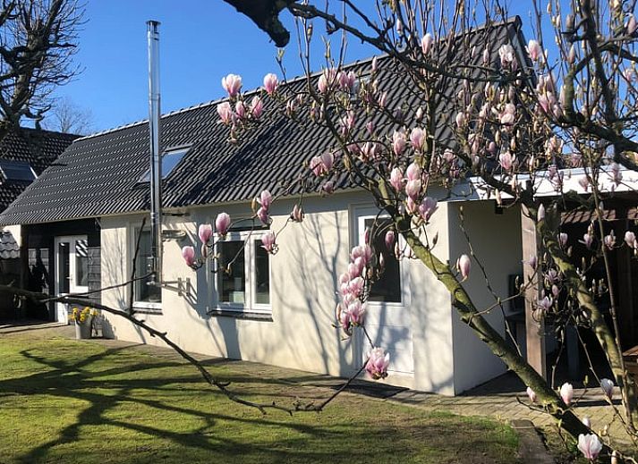 Guest house 432201 • Holiday property Noordoost Brabant • Huisje in Gemert 