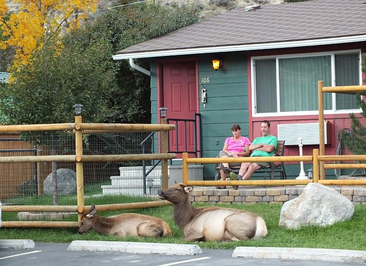 Verblijf 4625802 • Vakantie appartement Rocky Mountains • Yellowstone Gateway Inn 