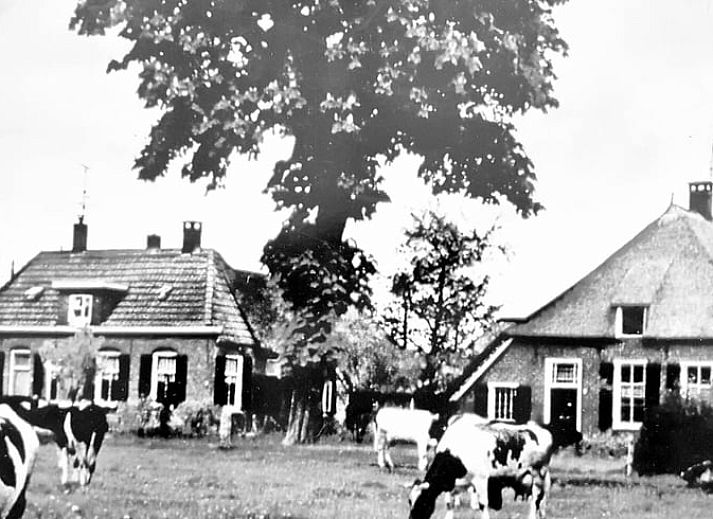 Verblijf 531809 • Vakantiewoning Salland • Vakantiehuisje in Nieuwleusen 