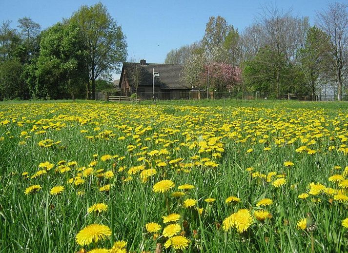 Verblijf 533410 • Vakantiewoning Salland • Prachtig gelegen 6 persoons vakantiehuis nabij Kampen 