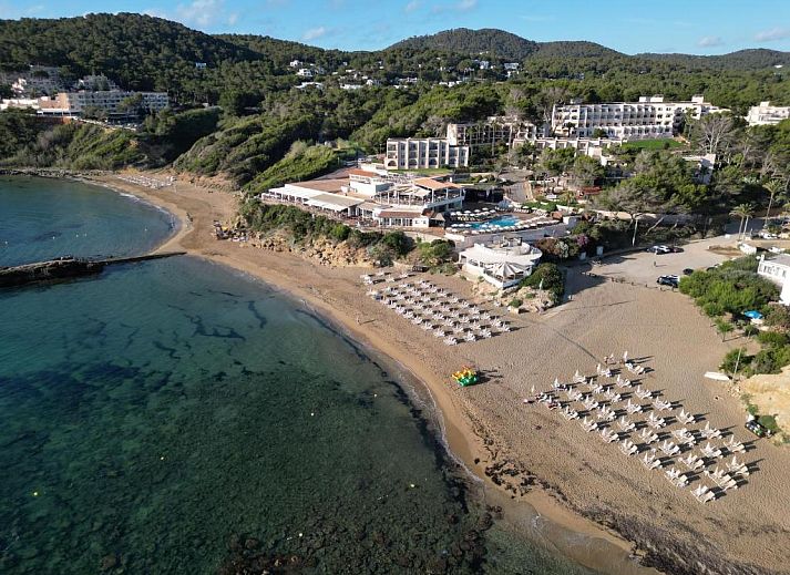 Verblijf 6420501 • Vakantie appartement Ibiza • Invisa Hotel Club Cala Blanca 