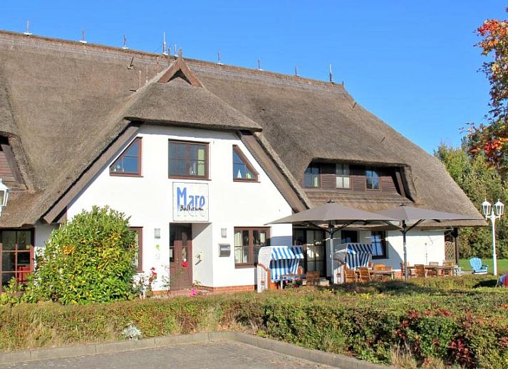 Guest house 8519901 • Apartment Mecklenburg-Vorpommern • Mare Balticum 