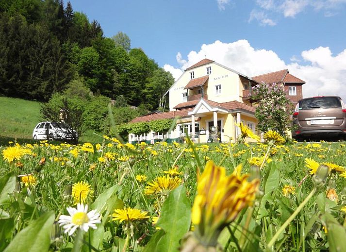 Guest house 9311501 • Apartment Steiermark • Familiengasthof Maier 