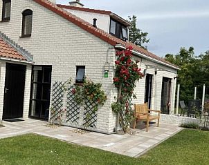 Guest house 01011056 • Holiday property Texel • Ferienperle 