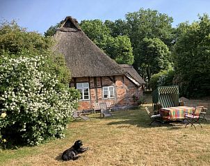 Unterkunft 02316804 • Ferienhaus Nordsee • Vakantiehuis Reethuus 